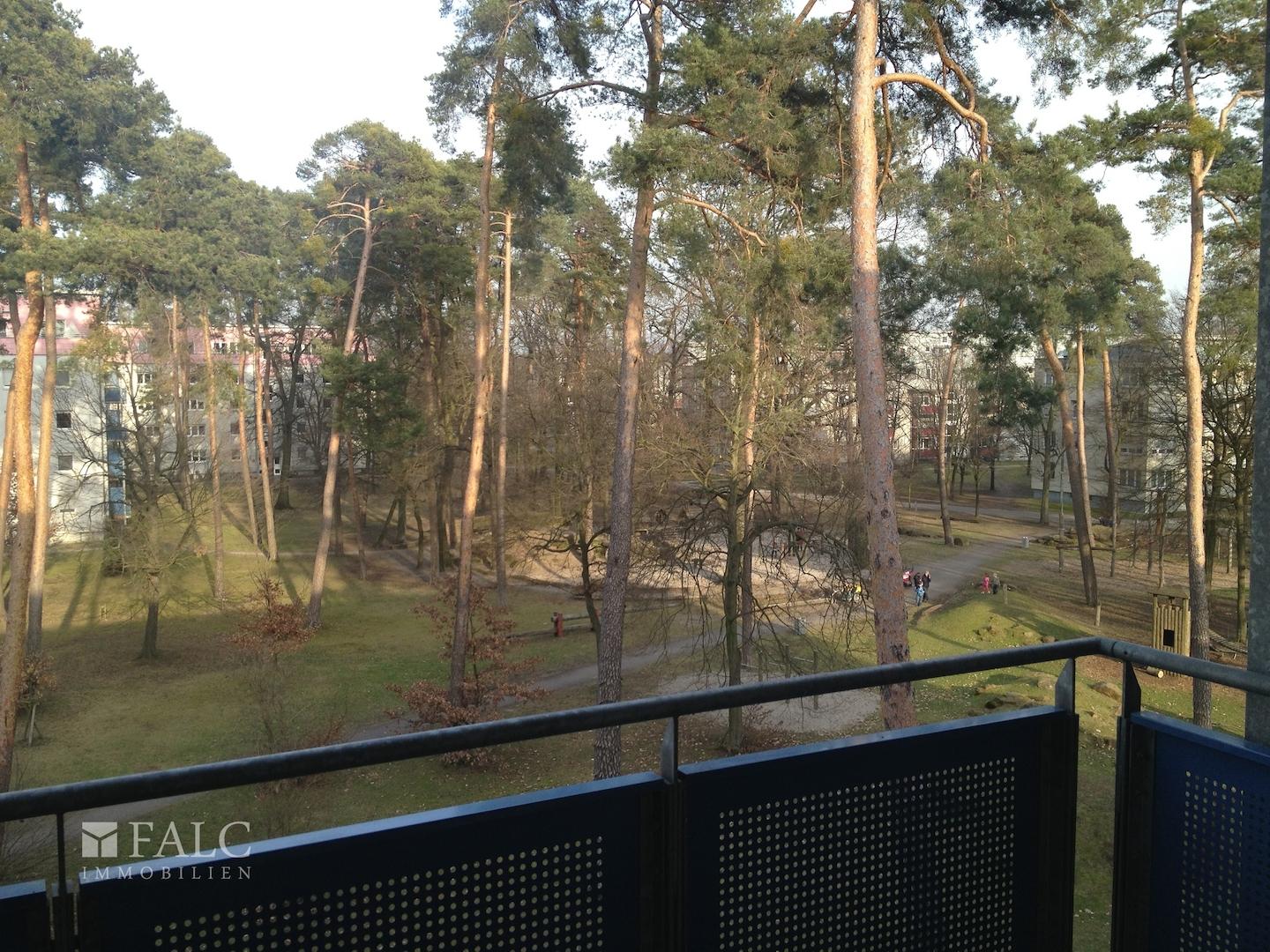 Aussicht.JPG