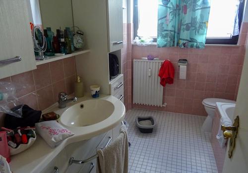 Tageslichtbad mit Dusche und Wanne OG