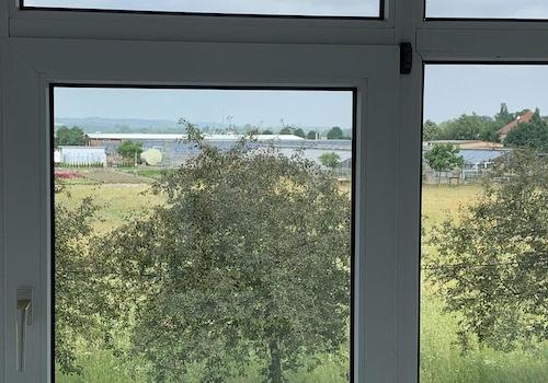 Blick aus dem Wintergarten