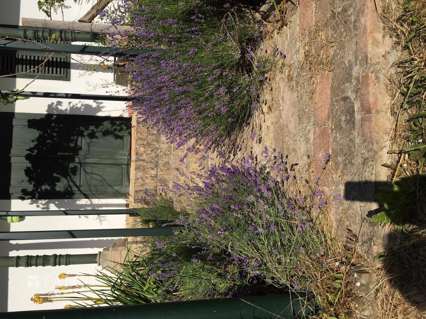 Garden - entrance to Suite unit