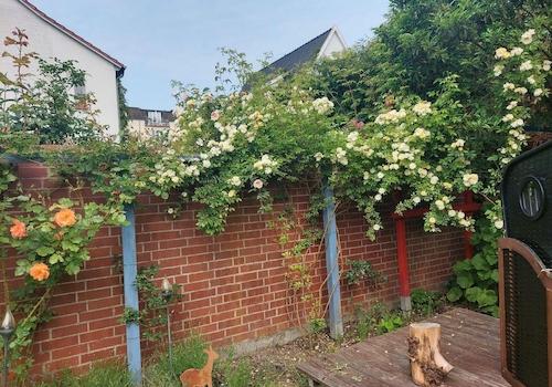 Westseite Garten