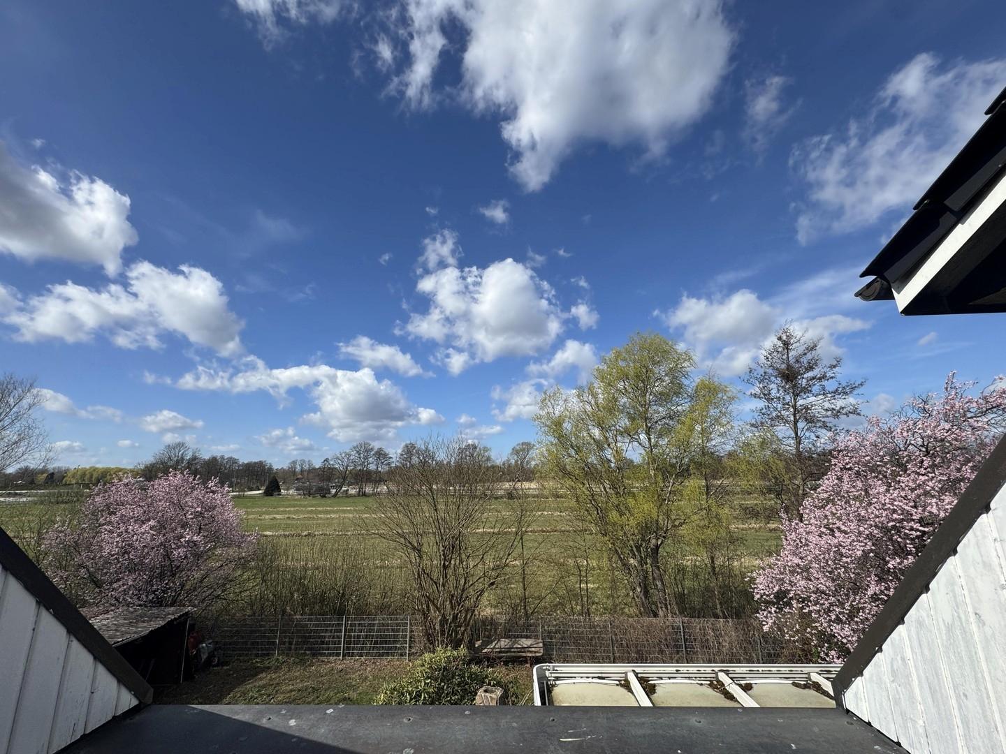 Ausblick Balkon OG