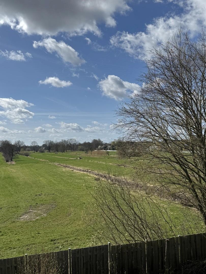 Ausblick Wohnzimmer OG