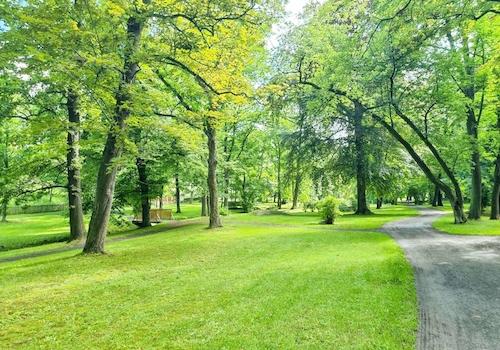 Angrenzender Stadtpark