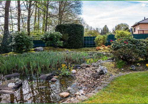 Teich im Gartenparadies