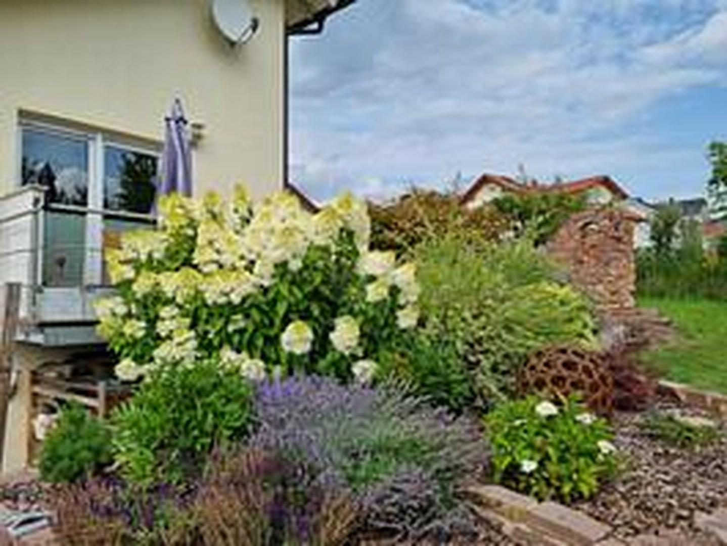 Blick auf Terrasse vom Garten