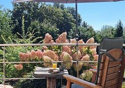 Südterrasse