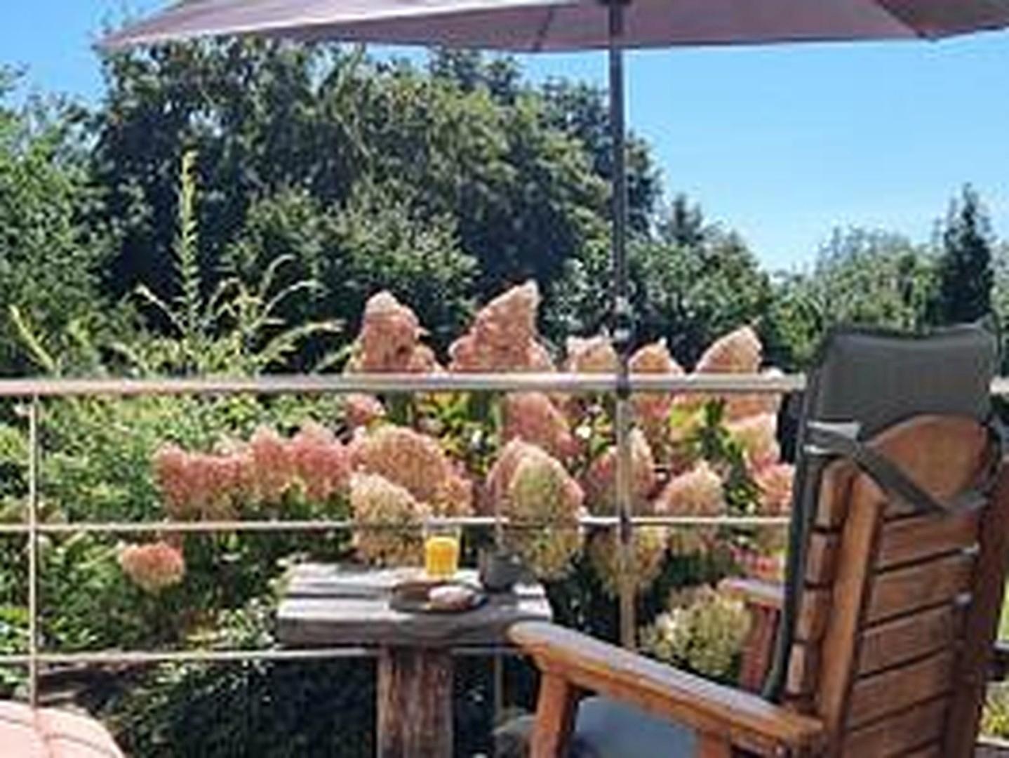 Südterrasse