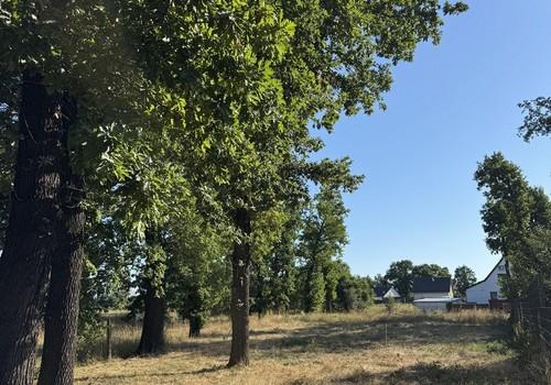 Blick Nord-Ost