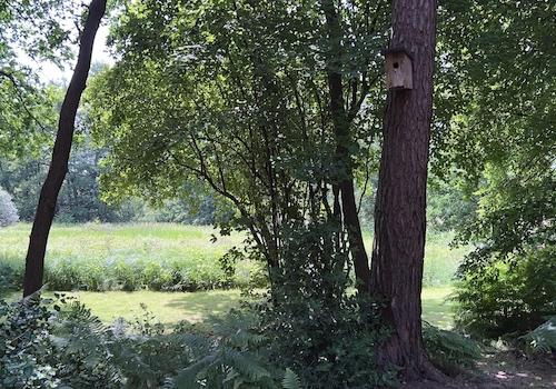 Blick im unteren Garten