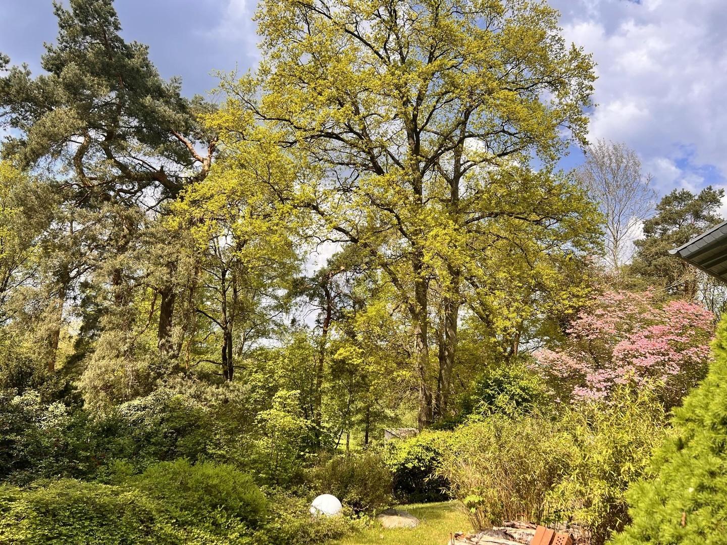 Gartenstimmung