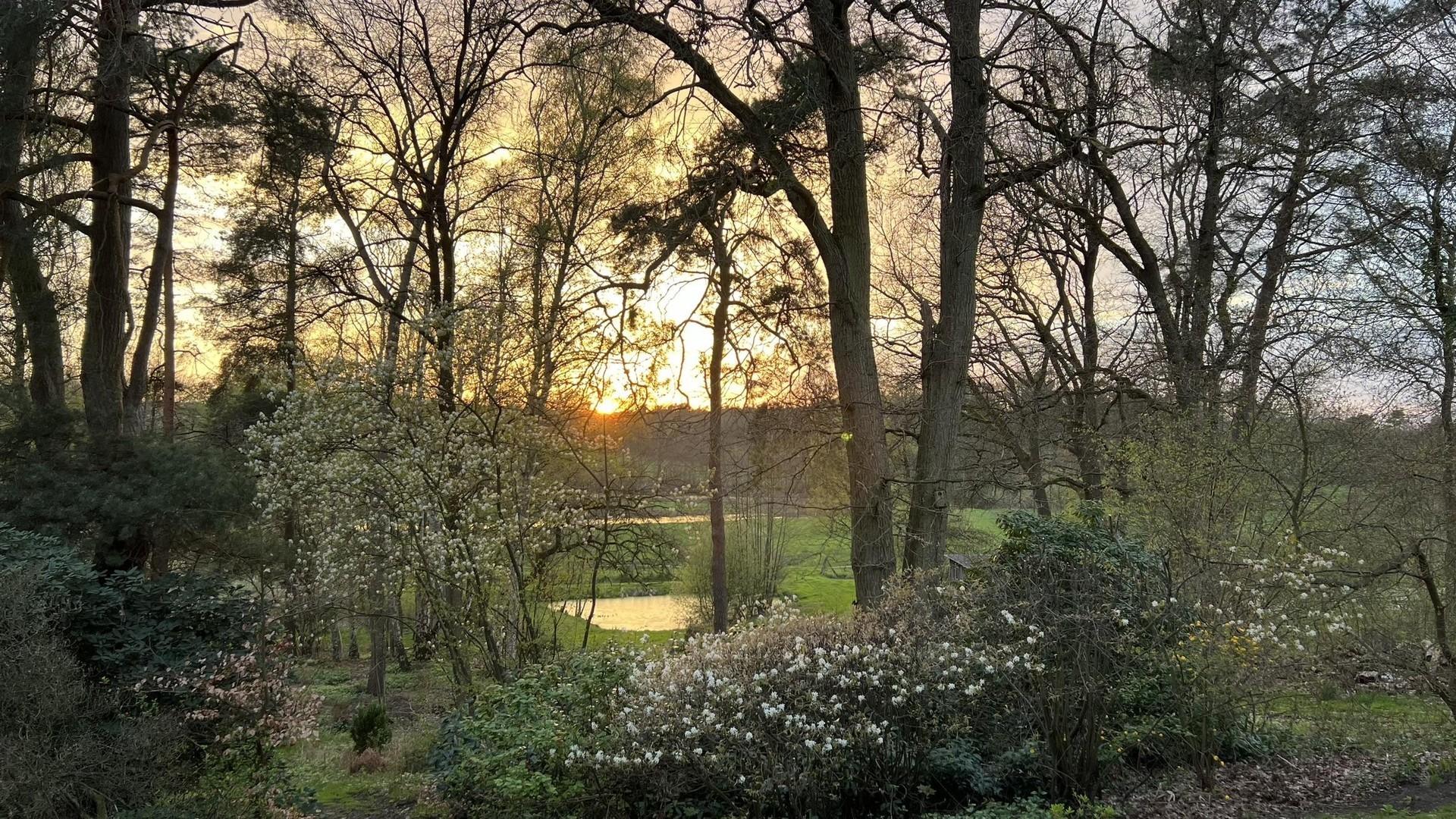 Abendstimmung