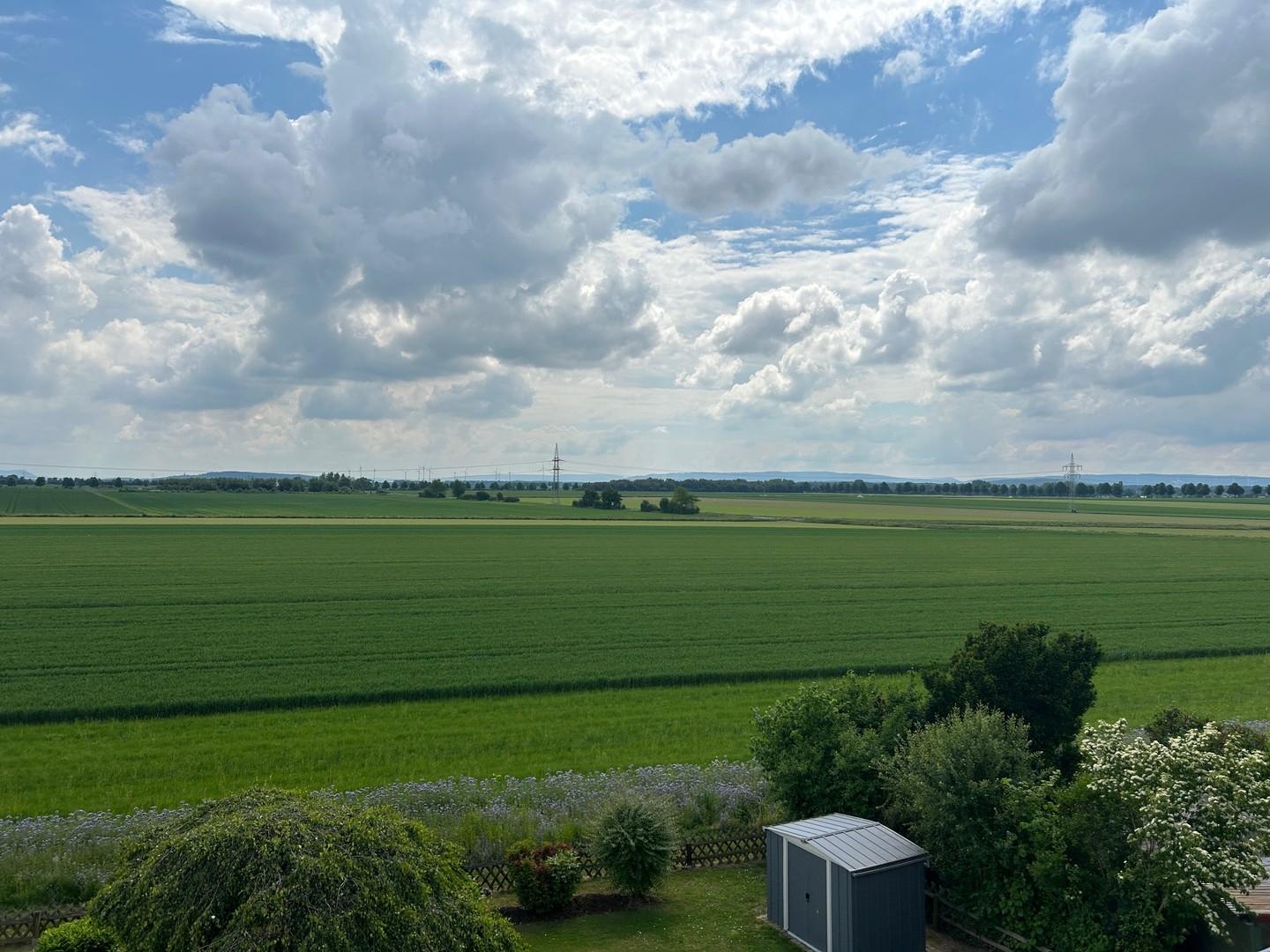 Ausblick