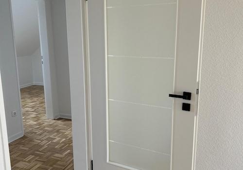 Türblatt mit Glaseinsatz