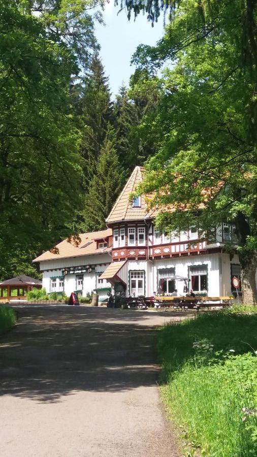Außenansicht Sommer