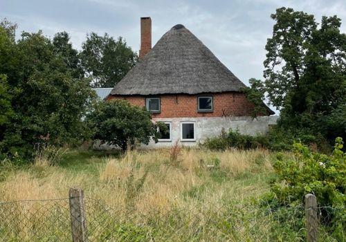 Blick über das großzügige Grundstück zum Wohnhaus