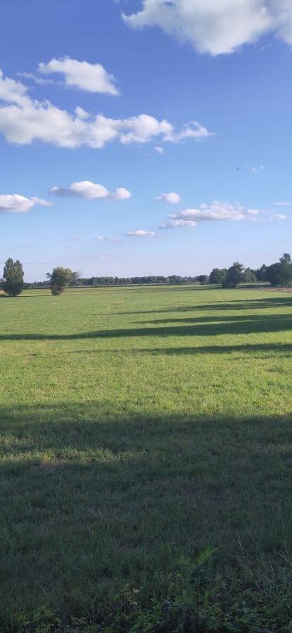 Ausblick