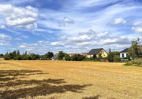 Ansicht vom Feld