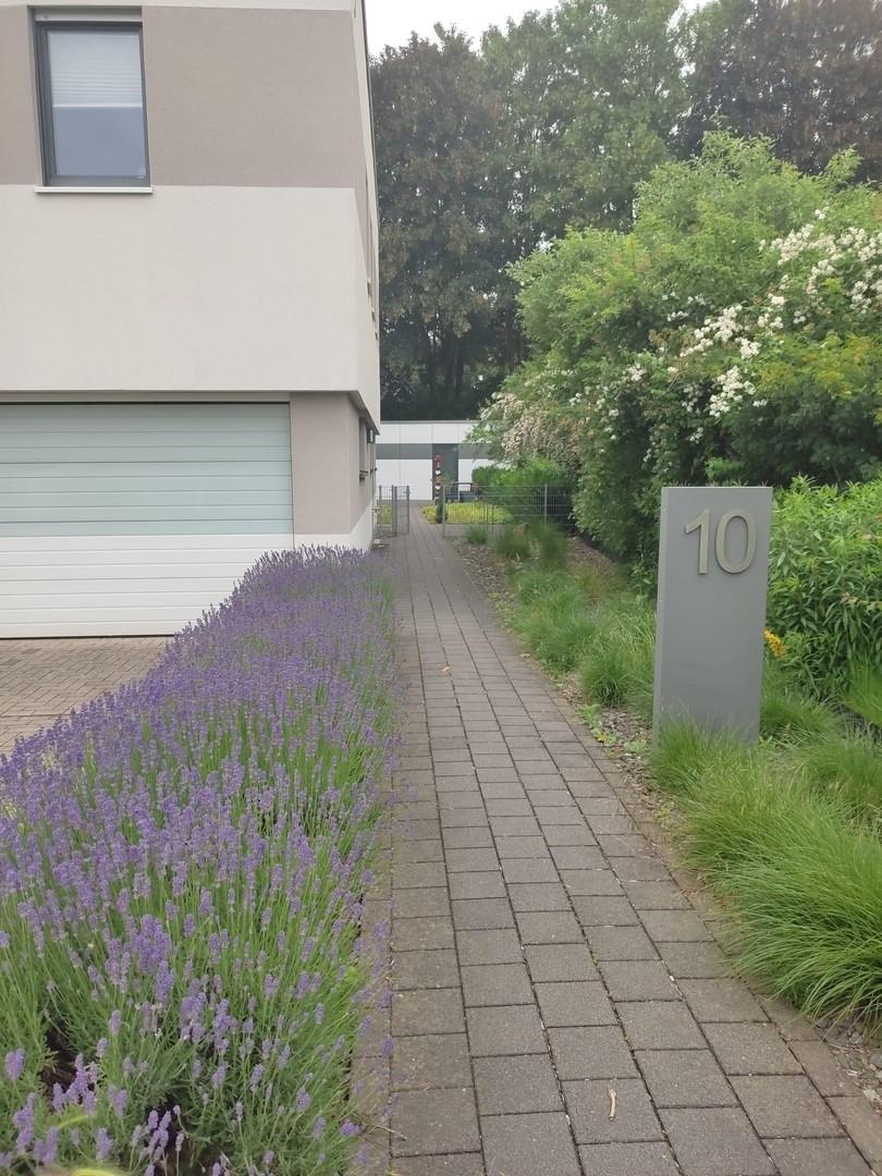 Zutritt zum Grundstück