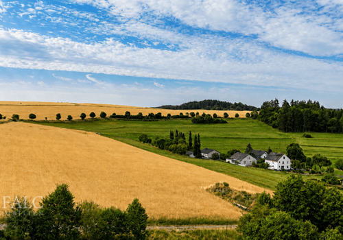 Weitblick
