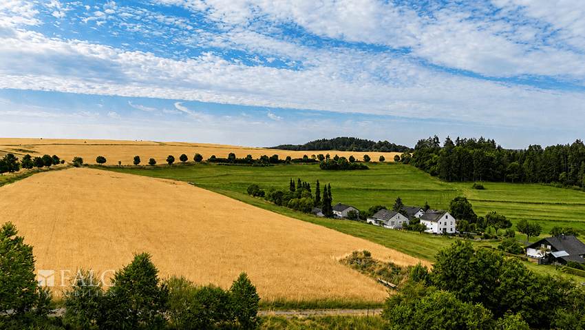 Weitblick