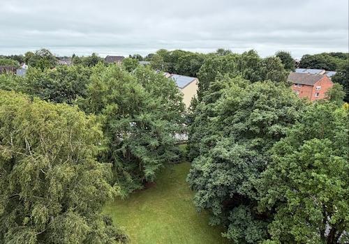 Aussicht vom Balkon