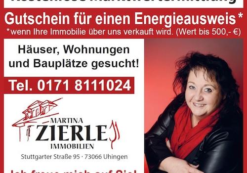 Aktion Energieausweis