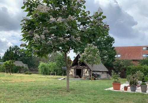 Terrasse mit Backhaus