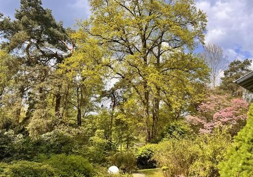Gartenstimmung
