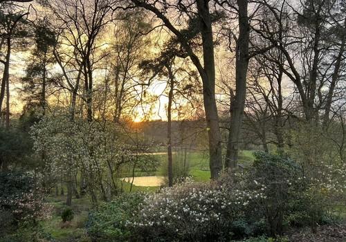 Abendstimmung
