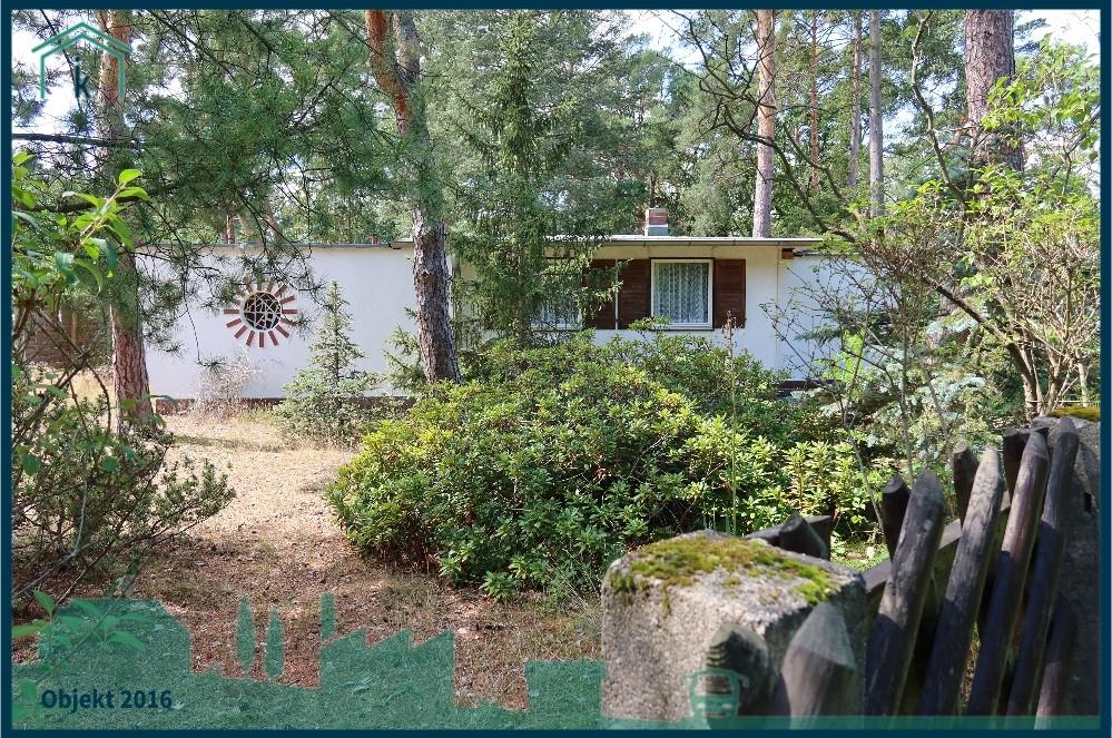 Blick zum Bungalow 2