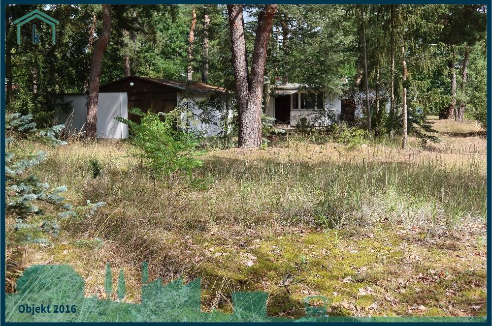 Blick übers Grundstück