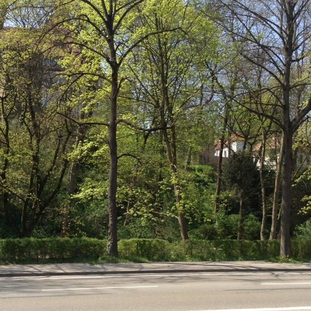 Gegenüber