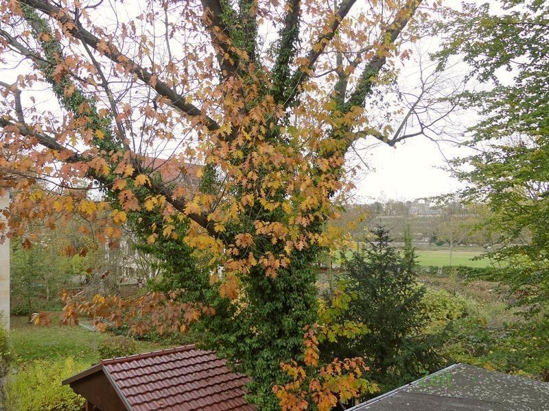 Herbstblick zur Elbe (rechts)
