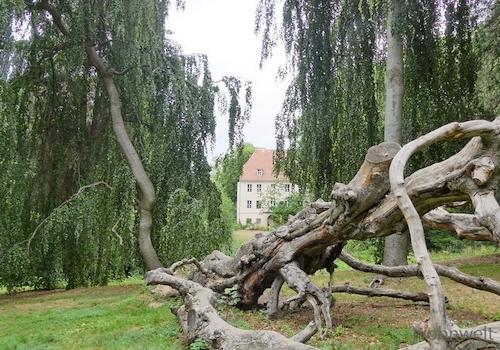 Blick vom Park auf das Schloss