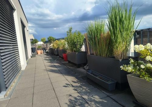 19Dachterrasse