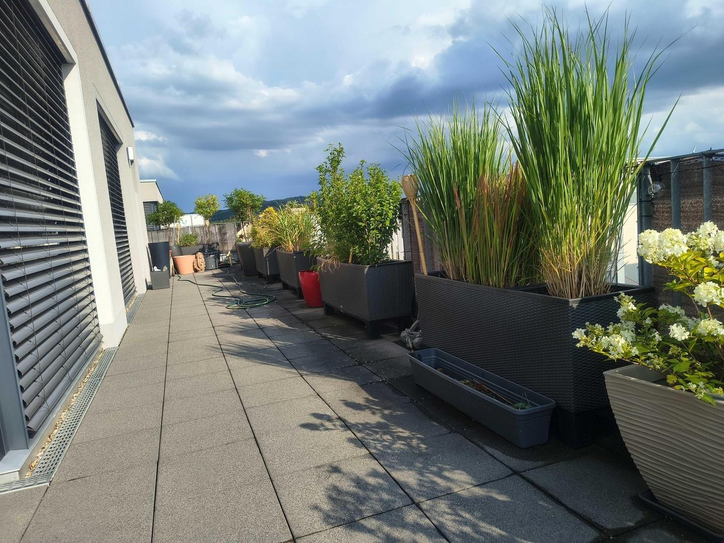 19Dachterrasse