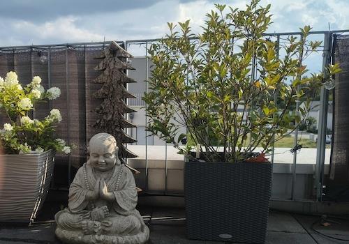 20Dachterrasse