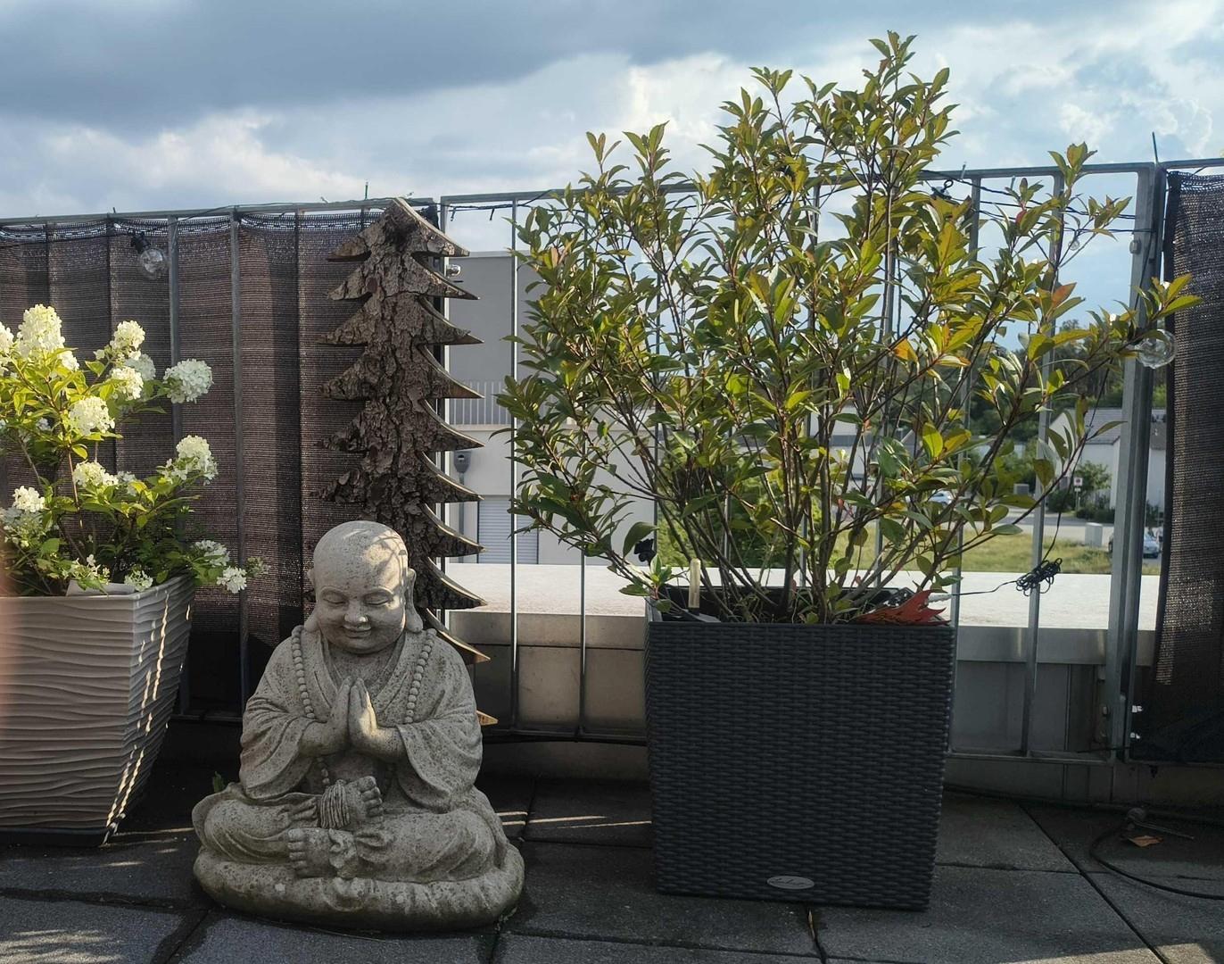 20Dachterrasse