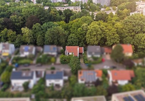 Grüne Oase in Königswiesen