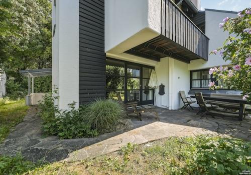 Süd-Terrasse mit altem Baumbestand