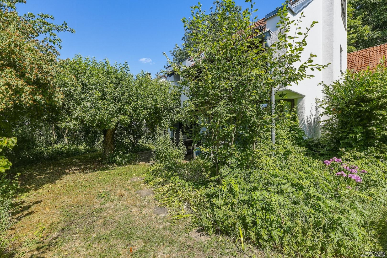 Eingewachsener Garten