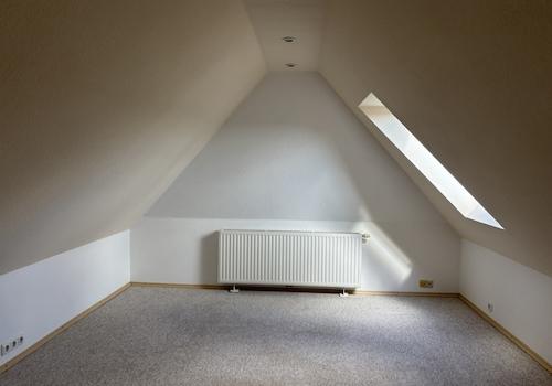 Zimmer DG 1