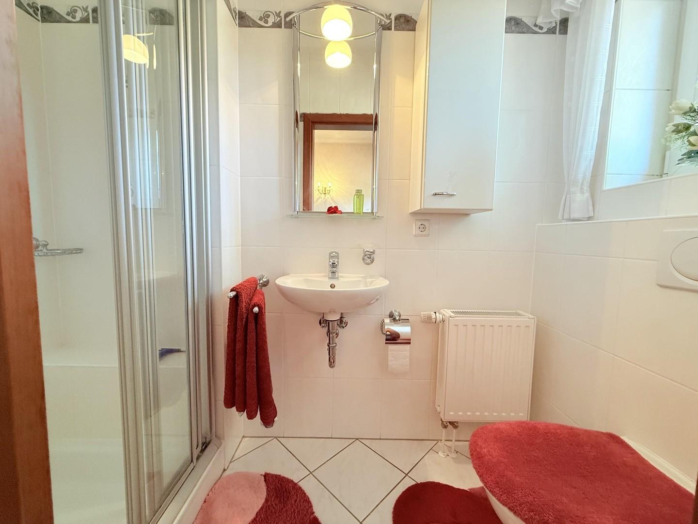 GästeWC m. Dusche