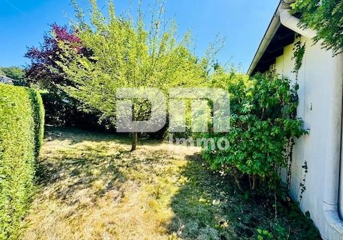 Gartenbereich hinter dem Haus