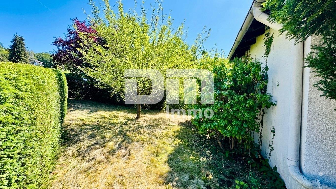 Gartenbereich hinter dem Haus