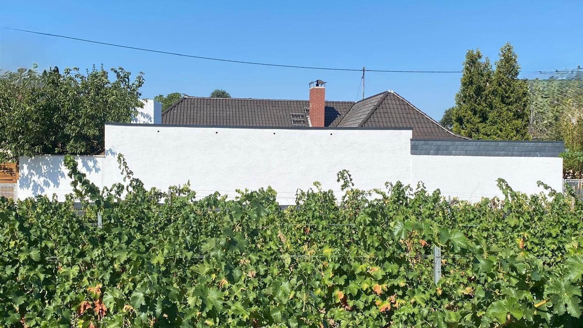 Außenansicht am Weinberg