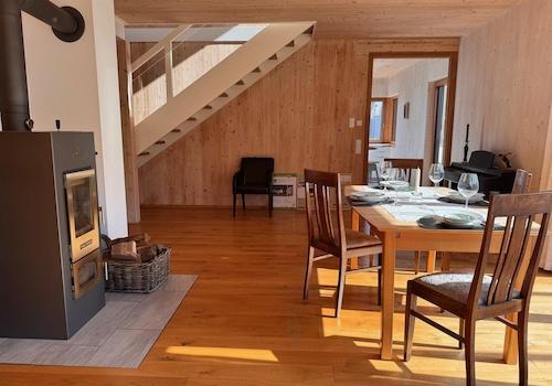 Holzvergaserkaminofen