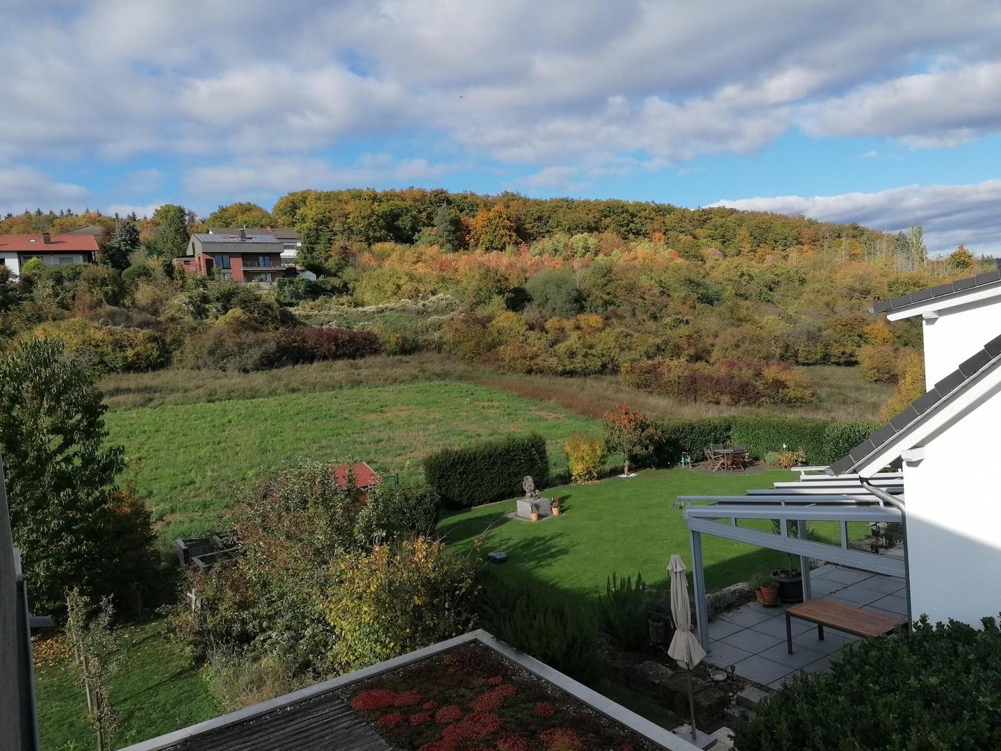 Blick Richtung Waldrand