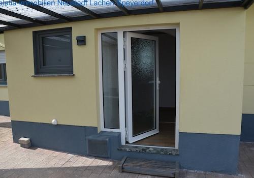 DSC 5655